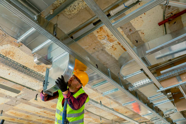Best Heating Repair Services  in Spring Grove, IL